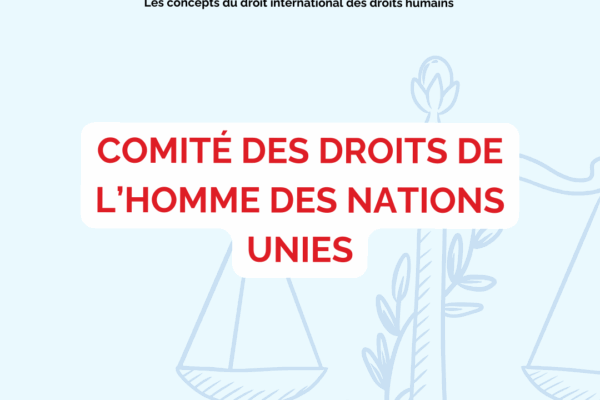Collectif des Familles de disparus en Algérie — Point Juridique : n°31 : Comité des Droits de l’Homme des Nations Unies